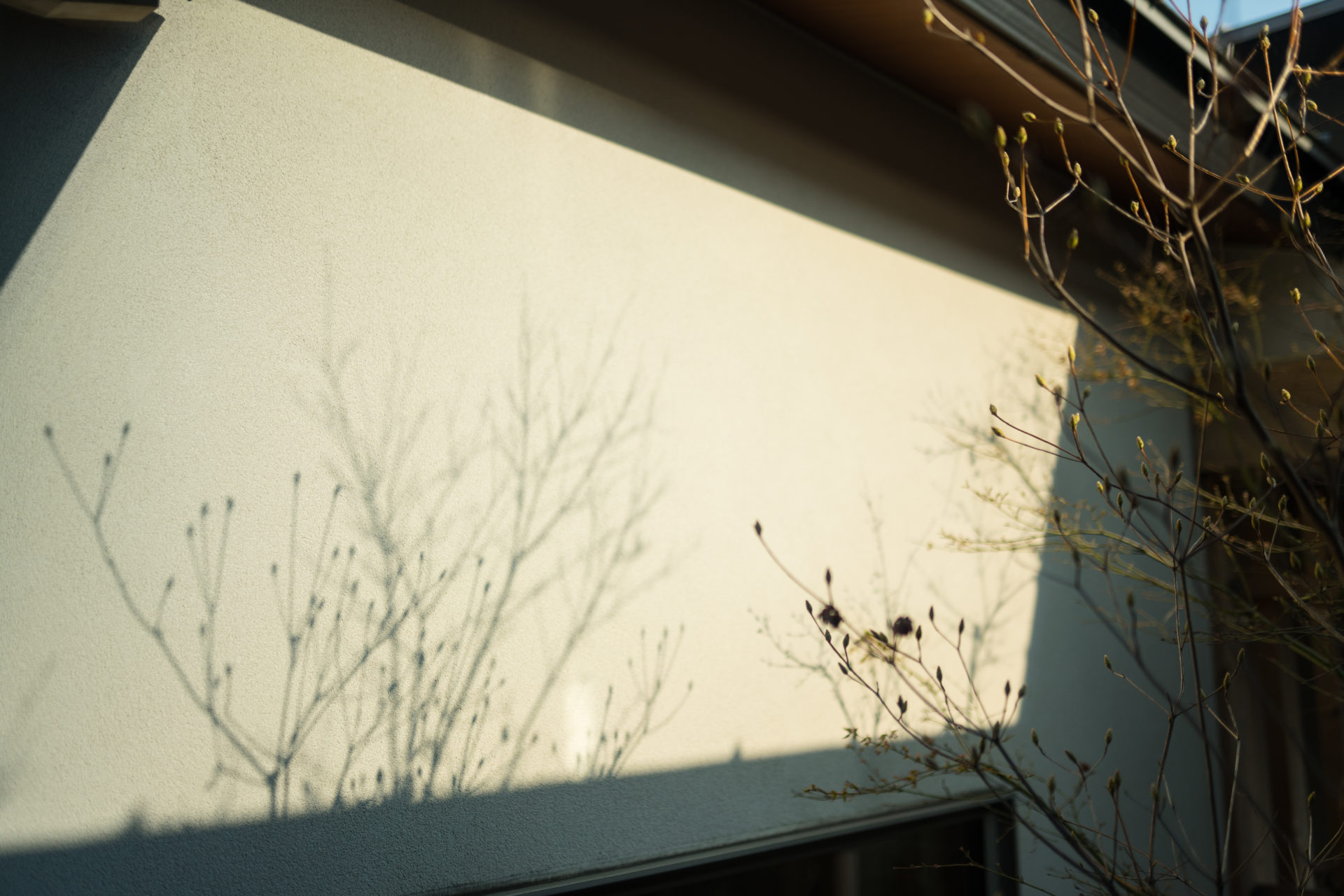 家づくりの流れ